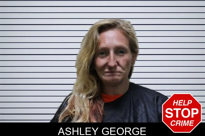 Ashley George mugshot – Haralson County , Georgia Ashley George mugshot
