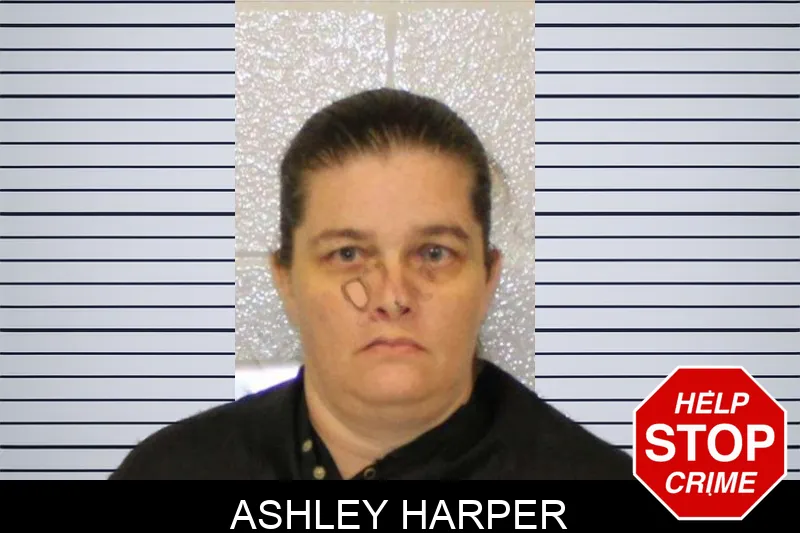 Ashley Harper mugshot – Carroll County , Georgia Ashley Harper mugshot