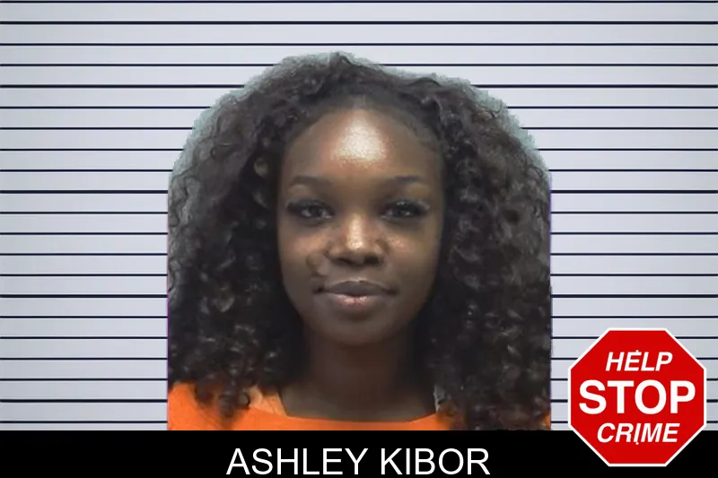 Ashley Kibor mugshot – Cherokee County , Georgia Ashley Kibor mugshot