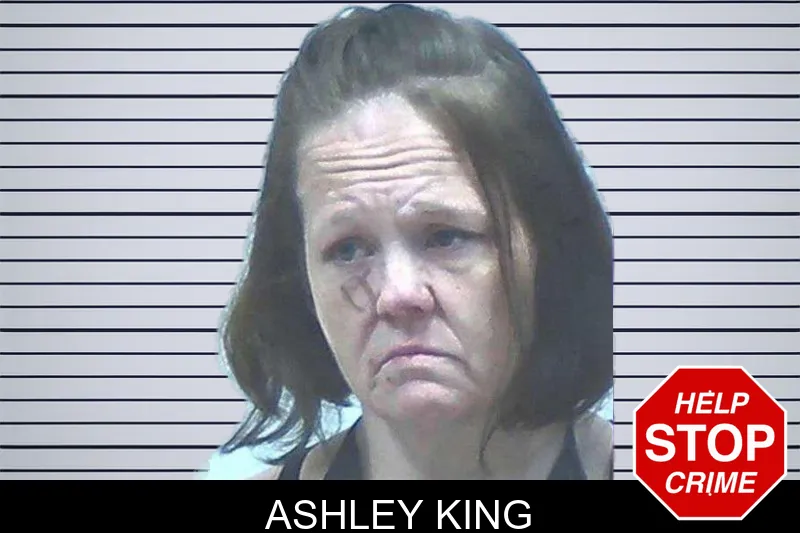 Ashley King mugshot – Jackson County , Georgia Ashley King mugshot