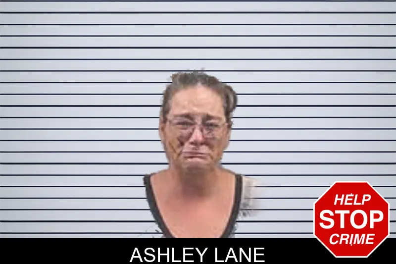 Ashley Lane mugshot – Banks County , Georgia Ashley Lane mugshot