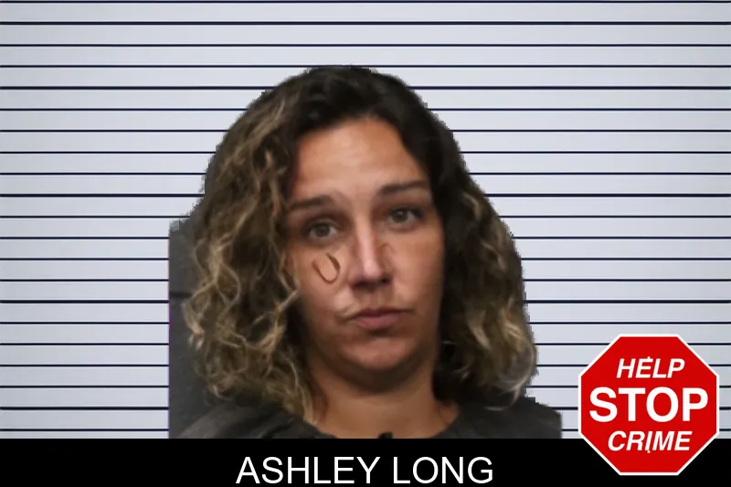 Ashley Long mugshot – Forsyth County , Georgia Ashley Long mugshot
