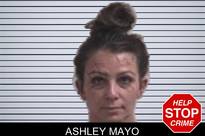 Ashley Mayo mugshot – Henry County , Georgia Ashley Mayo mugshot