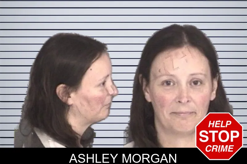 Ashley Morgan mugshot – Barrow County , Georgia Ashley Morgan mugshot