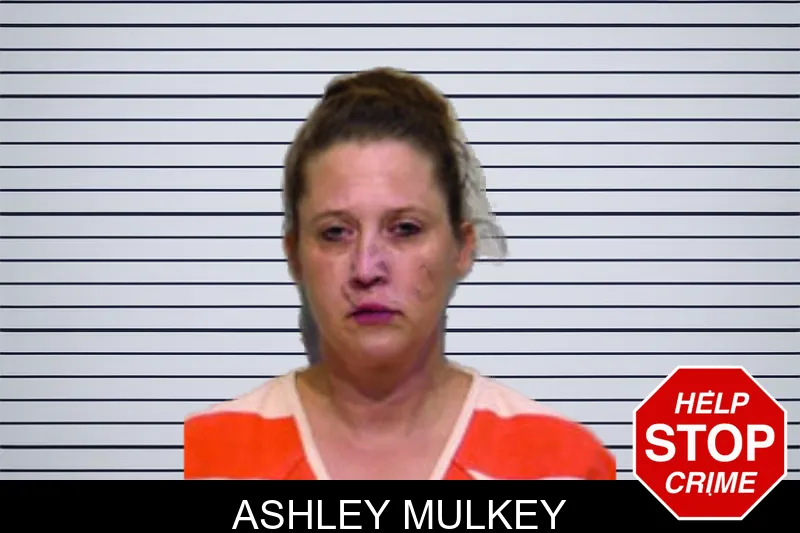 Ashley Mulkey mugshot – Bartow County , Georgia Ashley Mulkey mugshot
