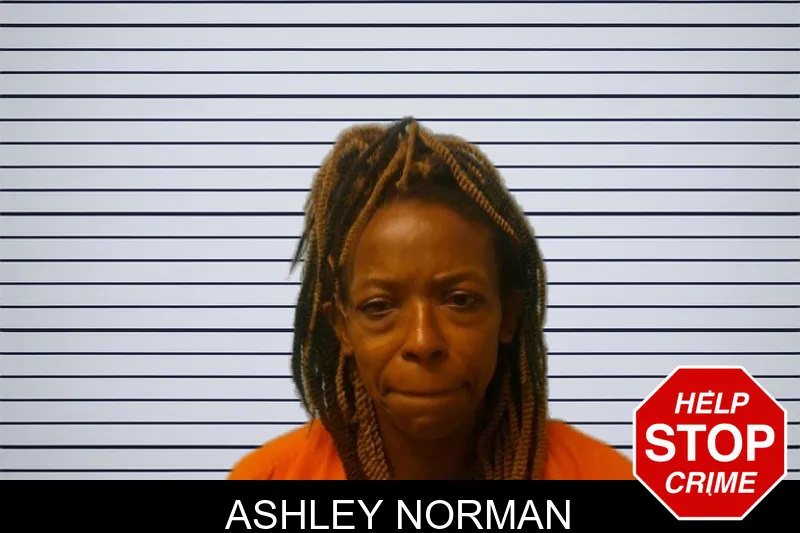 Ashley Norman mugshot – Franklin County , Georgia Ashley Norman mugshot