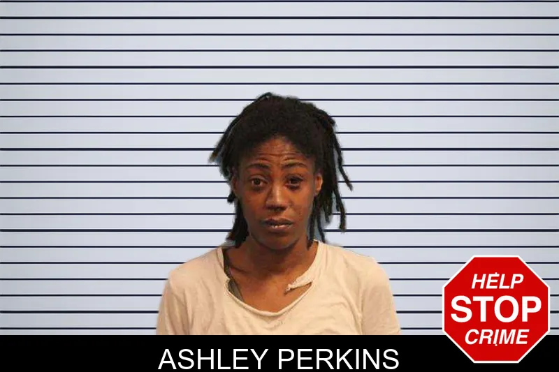 Ashley Perkins mugshot