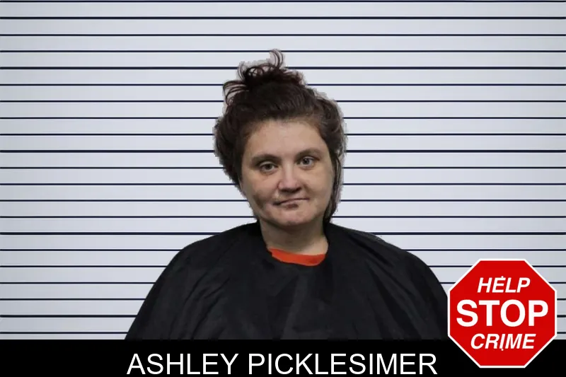 Ashley Picklesimer mugshot