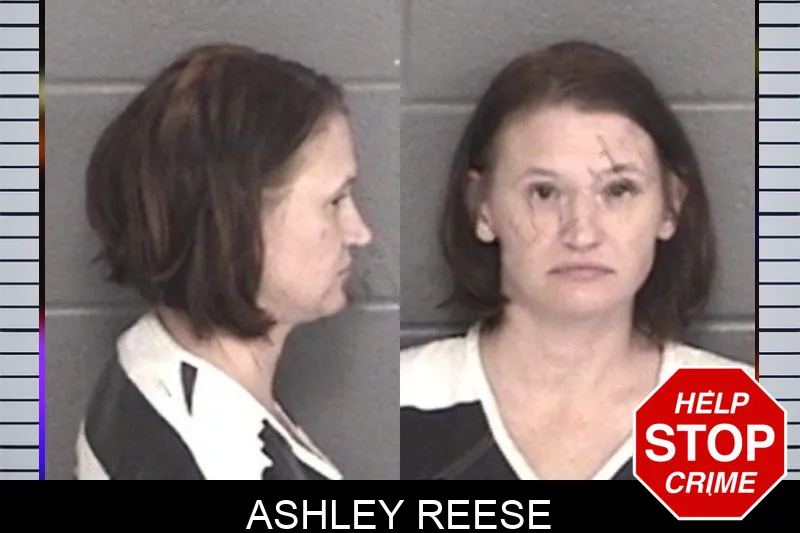 Ashley Reese mugshot – Barrow County , Georgia Ashley Reese mugshot