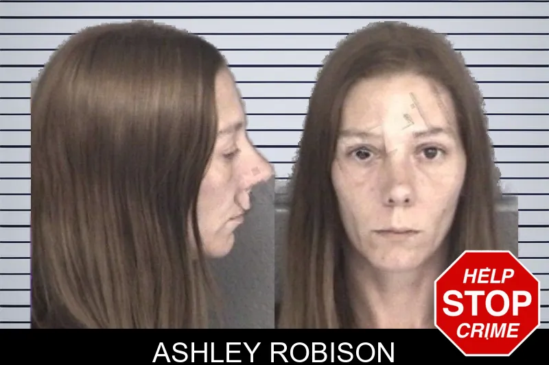 Ashley Robison mugshot – Barrow County , Georgia Ashley Robison mugshot