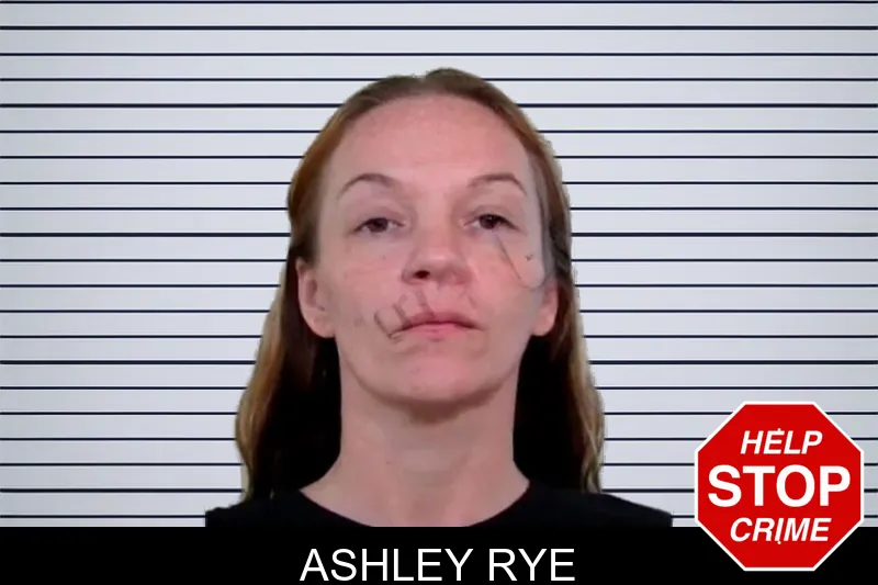 Ashley Rye mugshot – Liberty County , Georgia Ashley Rye mugshot