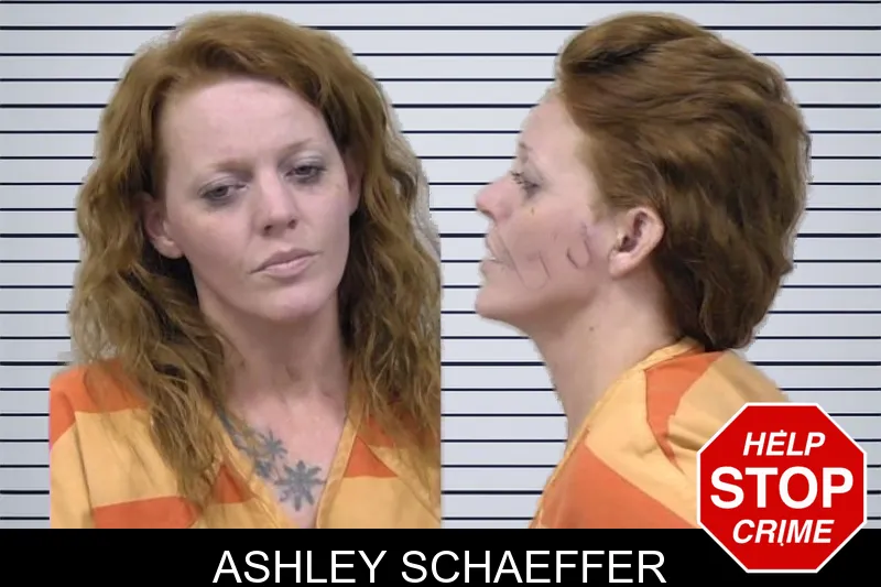 Ashley Schaeffer mugshot