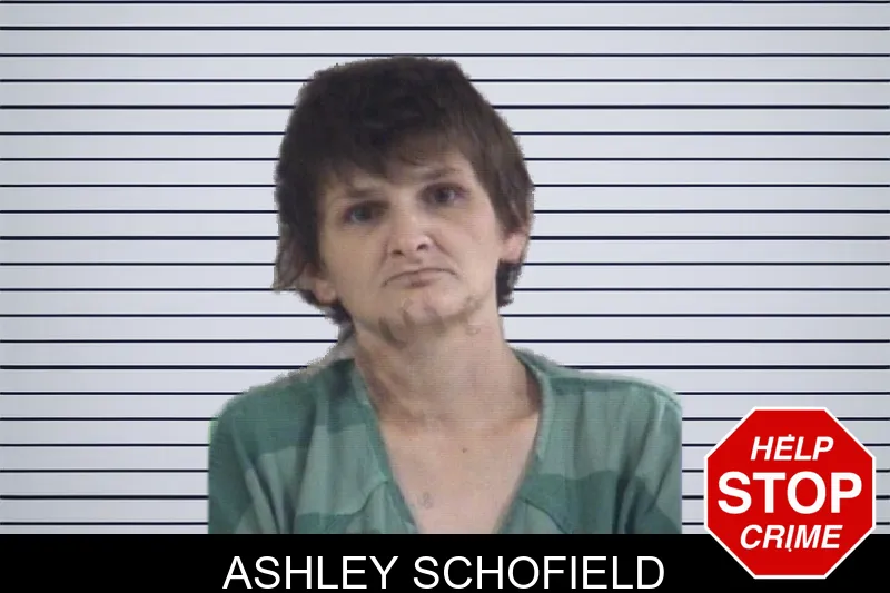 Ashley Schofield mugshot – Whitfield County , Georgia Ashley Schofield mugshot