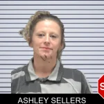 Ashley Sellers mugshot – Dougherty County , Georgia Ashley Sellers mugshot
