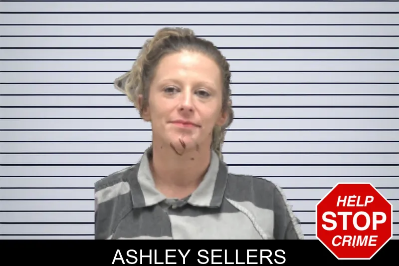 Ashley Sellers mugshot – Dougherty County , Georgia Ashley Sellers mugshot