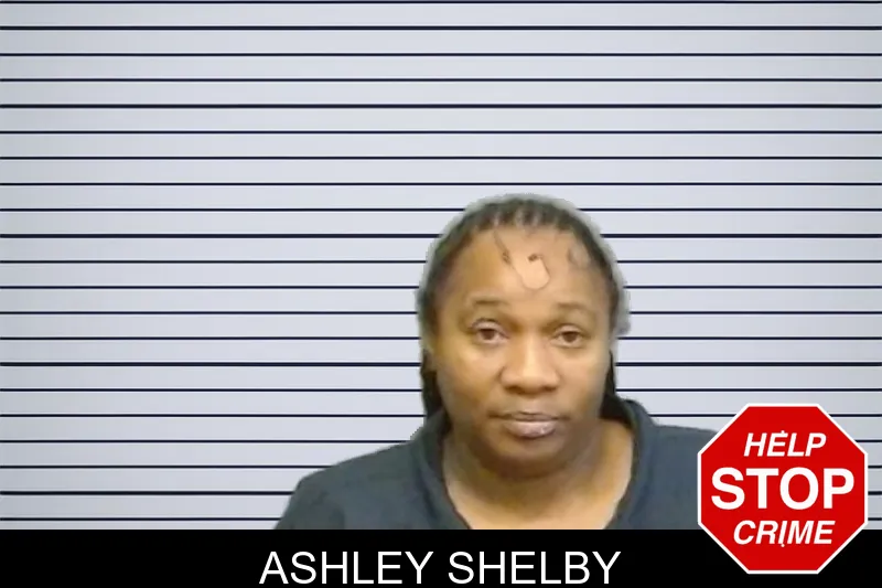 Ashley Shelby mugshot – Fulton County , Georgia Ashley Shelby mugshot