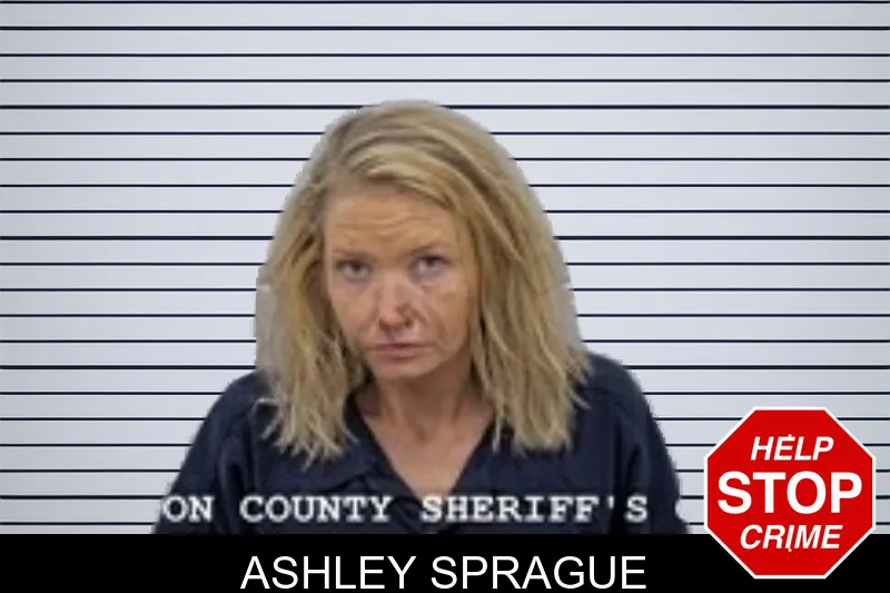 Ashley Sprague mugshot
