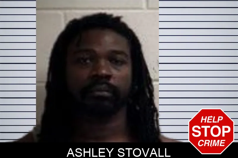 Ashley Stovall mugshot – Henry County , Georgia Ashley Stovall mugshot
