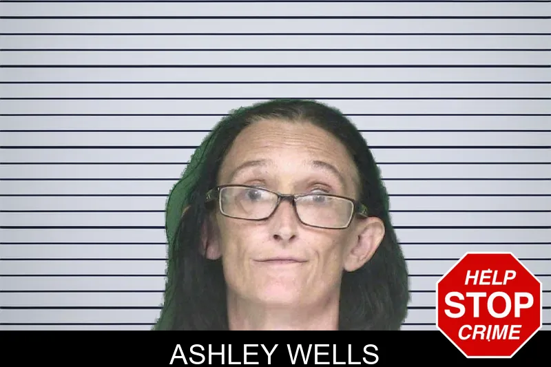 Ashley Wells mugshot – Appling County , Georgia Ashley Wells mugshot