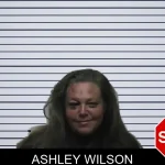 Ashley Wilson mugshot – Pike County , Georgia Ashley Wilson mugshot
