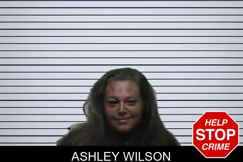 Ashley Wilson mugshot – Pike County , Georgia Ashley Wilson mugshot