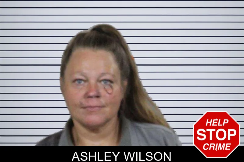 Ashley Wilson mugshot – Lamar County , Georgia Ashley Wilson mugshot