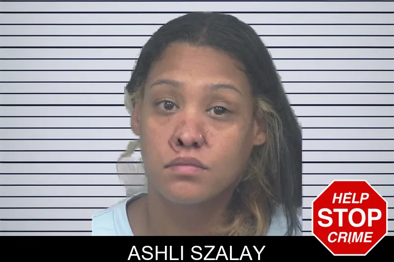 Ashli Szalay mugshot – Gwinnett County , Georgia Ashli Szalay mugshot