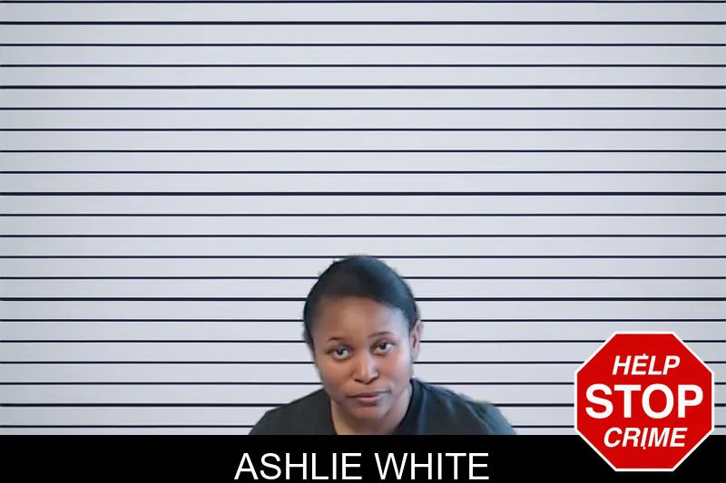 Ashlie White mugshot – DeKalb County , Georgia Ashlie White mugshot