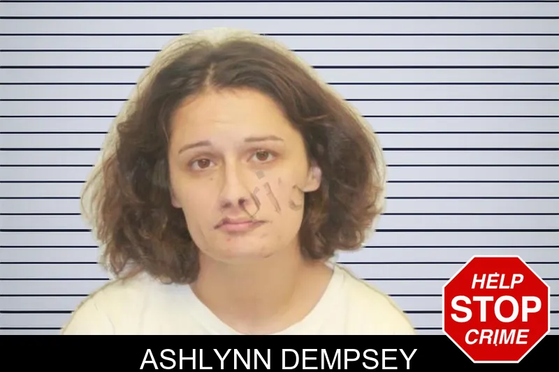 Ashlynn Dempsey mugshot – Chatham County , Georgia Ashlynn Dempsey mugshot
