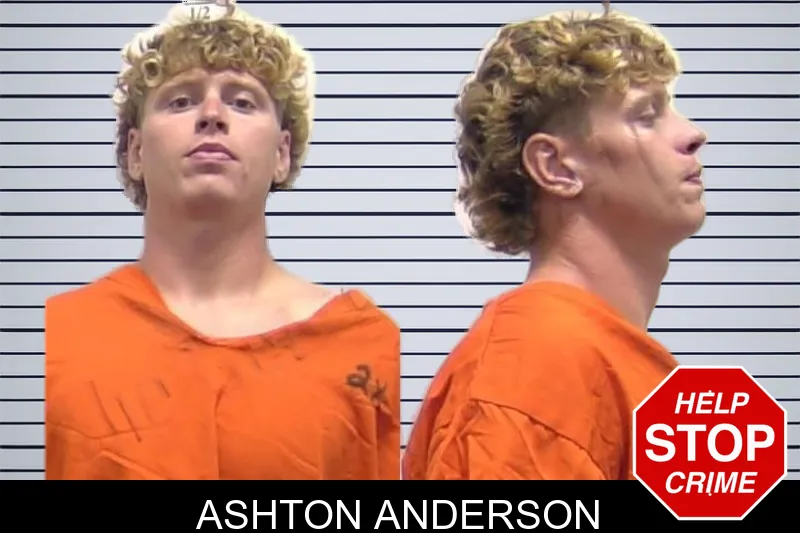 Ashton Anderson mugshot – Clarke County , Georgia Ashton Anderson mugshot