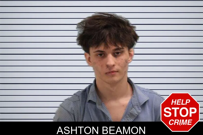 Ashton Beamon mugshot – Grady County , Georgia Ashton Beamon mugshot