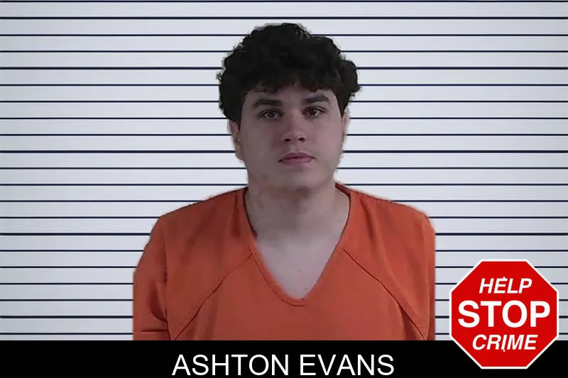 Ashton Evans mugshot – Fannin County , Georgia Ashton Evans mugshot