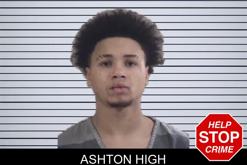 Ashton High mugshot – Whitfield County , Georgia Ashton High mugshot