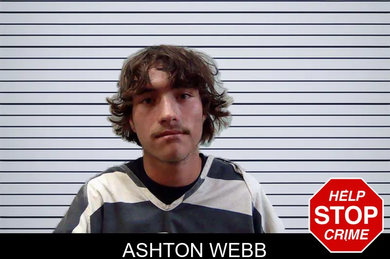 Ashton Webb mugshot