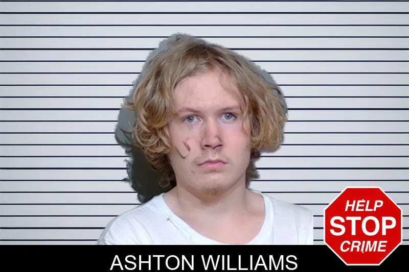 Ashton Williams mugshot – Glynn County , Georgia Ashton Williams mugshot