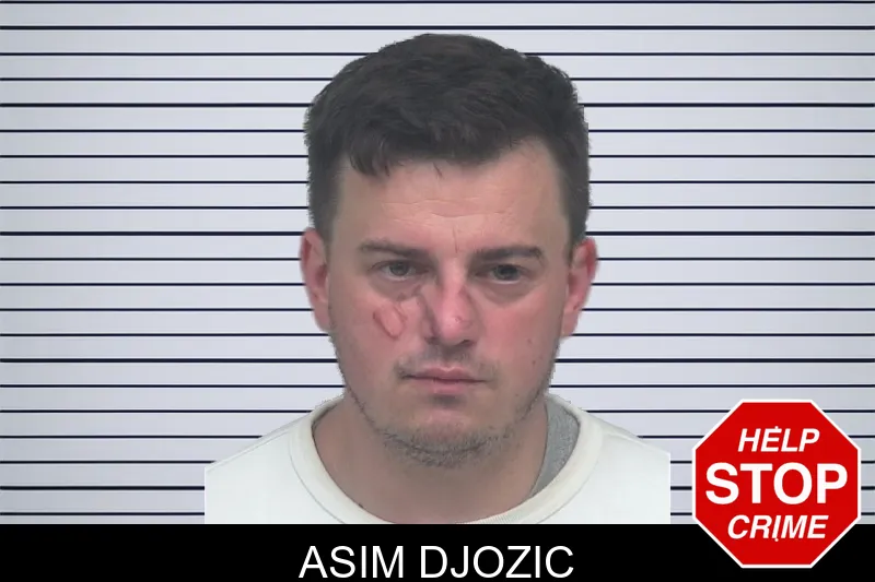 Asim Djozic mugshot – Gwinnett County , Georgia Asim Djozic mugshot