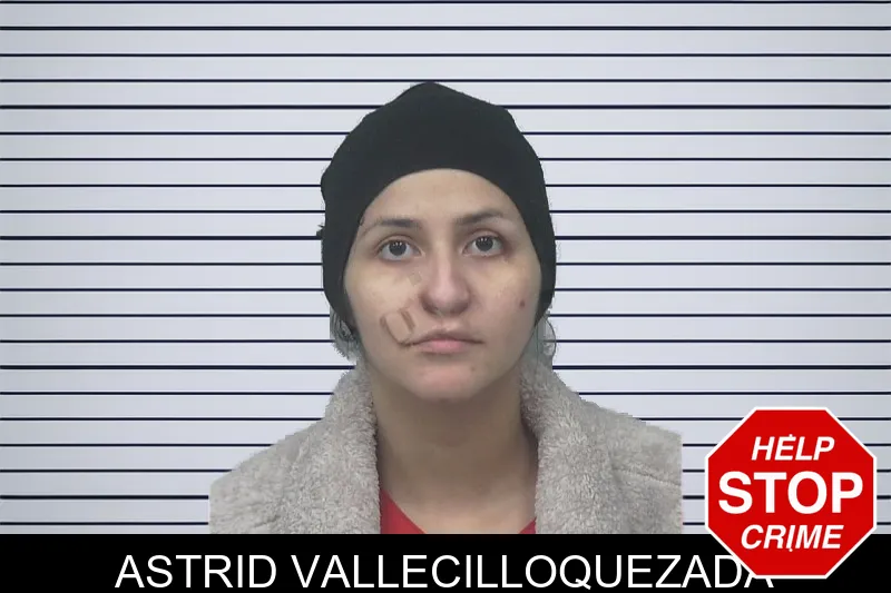 Astrid Vallecilloquezada mugshot – Gwinnett County , Georgia Astrid Vallecilloquezada mugshot