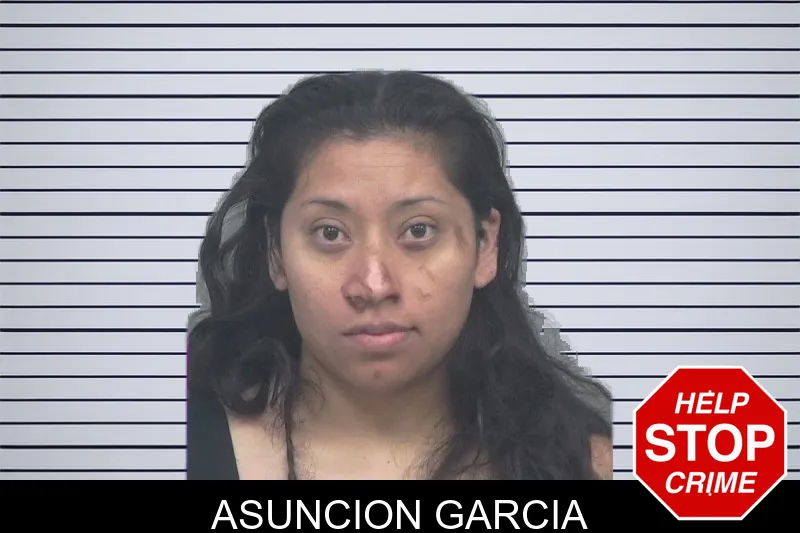 Asuncion Garcia mugshot – Gwinnett County , Georgia Asuncion Garcia mugshot