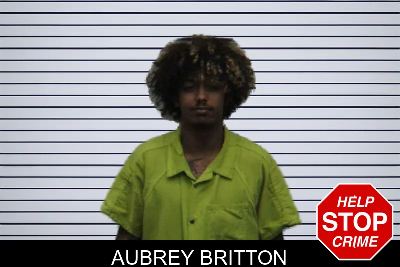 Aubrey Britton mugshot – Turner County , Georgia Aubrey Britton mugshot