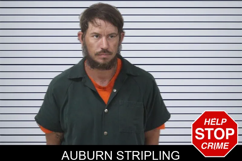 Auburn Stripling mugshot