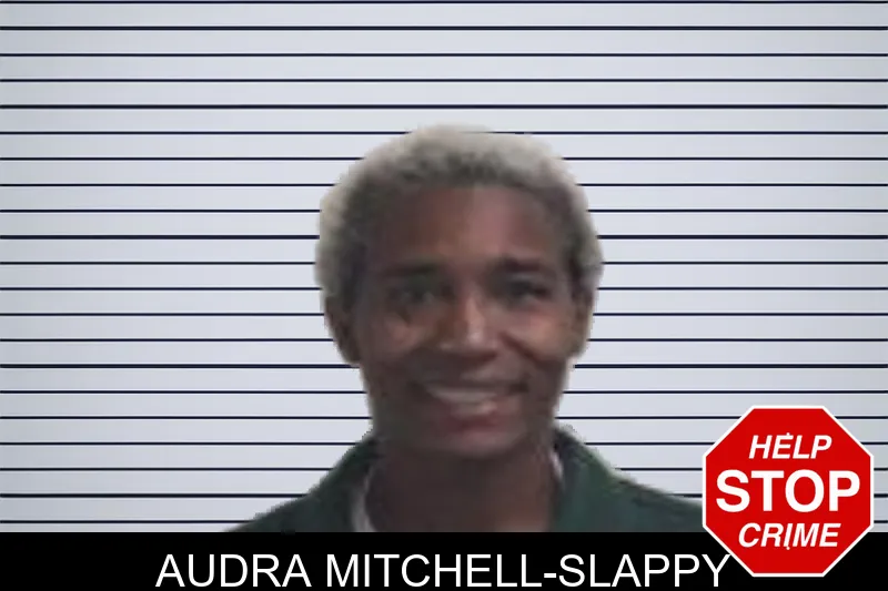 Audra Mitchell-Slappy mugshot – Henry County , Georgia Audra Mitchell-Slappy mugshot