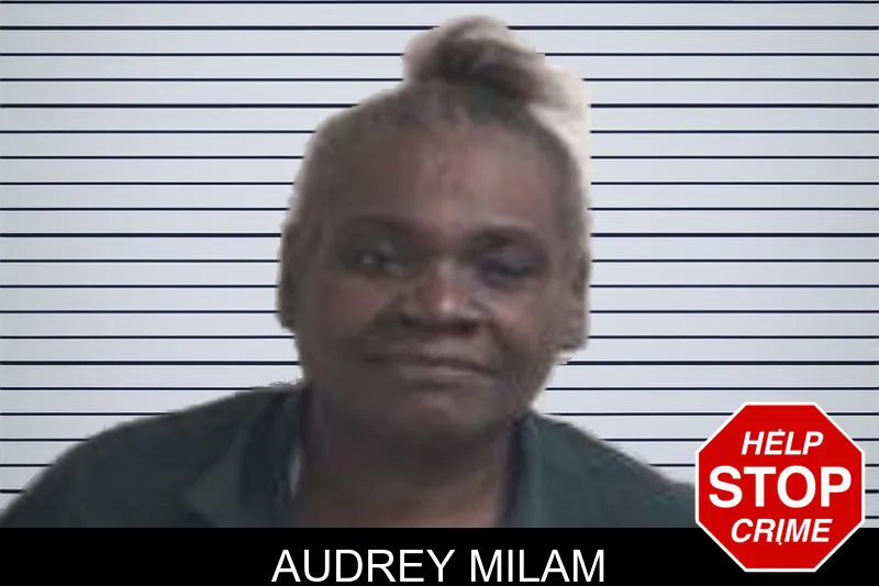 Audrey Milam mugshot – Henry County , Georgia Audrey Milam mugshot