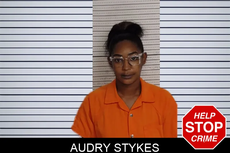 Audry Stykes mugshot