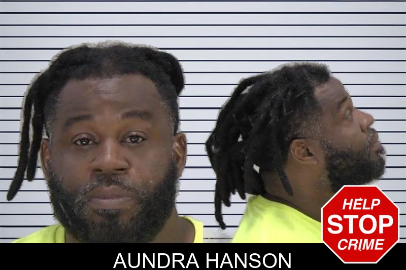 Aundra Hanson mugshot