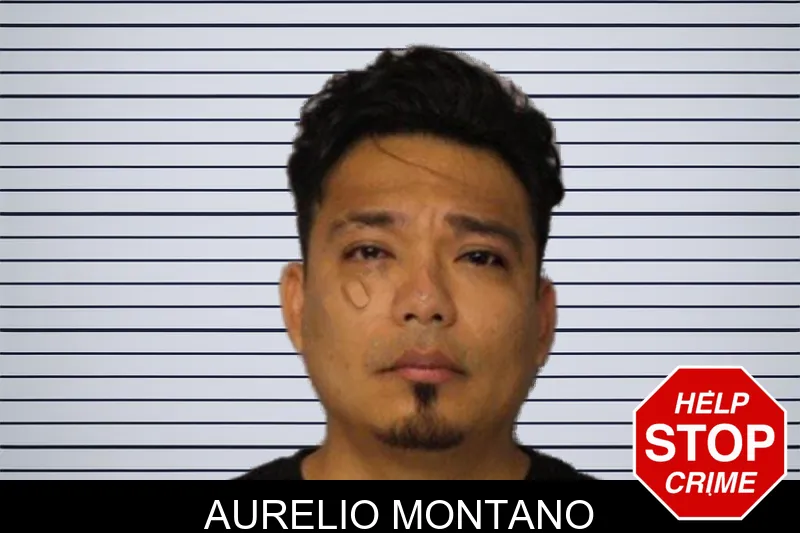Aurelio Montano mugshot – Hall County , Georgia Aurelio Montano mugshot