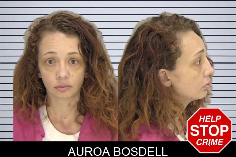 Auroa Bosdell mugshot – Richmond County , Georgia Auroa Bosdell mugshot