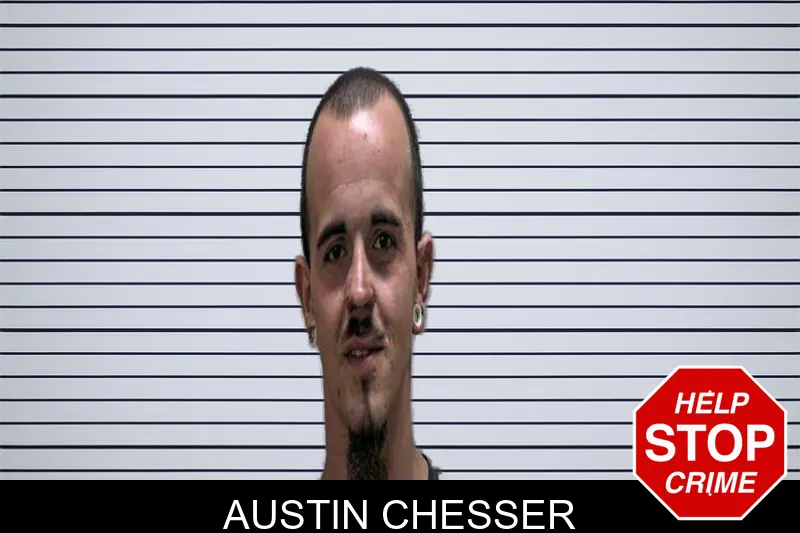 Austin Chesser mugshot