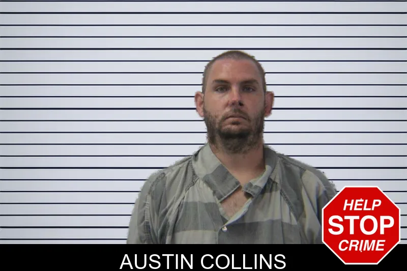 Austin Collins mugshot – Stephens County , Georgia Austin Collins mugshot