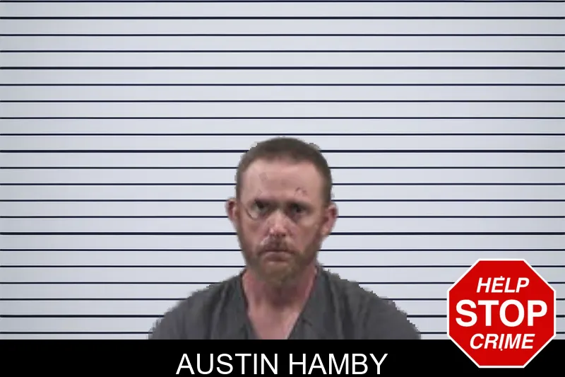 Austin Hamby mugshot