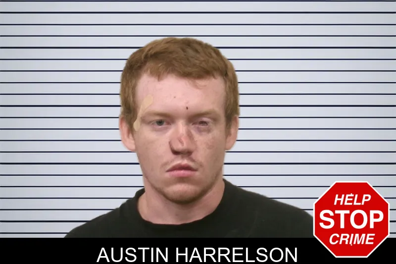 Austin Harrelson mugshot – Bulloch County , Georgia Austin Harrelson mugshot